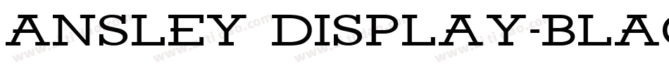 Ansley Display-Black字体转换